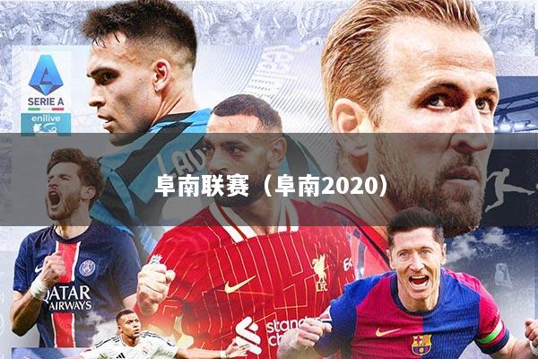 阜南联赛（阜南2020）